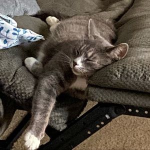 Meet your Posher, Erin